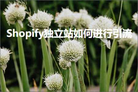 璺ㄥ鐢靛晢鐭ヨ瘑:Shopify鐙珛绔欏浣曡繘琛屽紩娴? width=